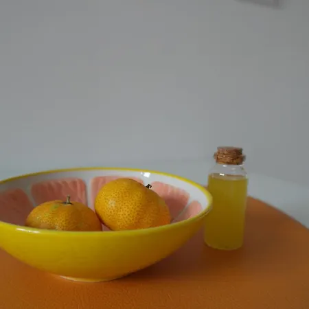 Citrus Lejlighed Meta